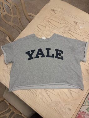 Yale Gray Cropped Tee with Navy Print / Collegiate Shirt